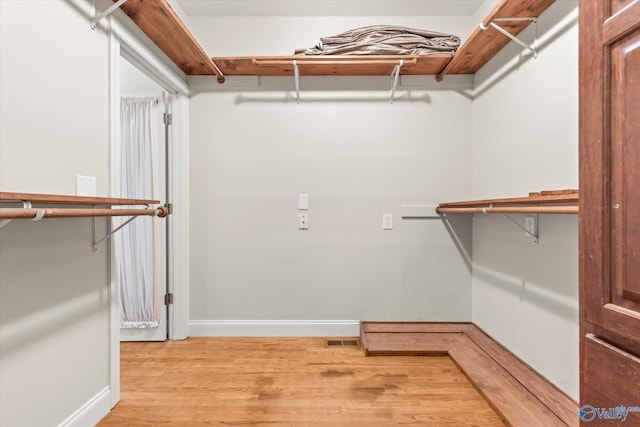 spacious closet with light wood-type flooring