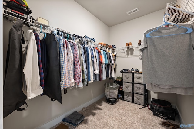 spacious closet with carpet flooring