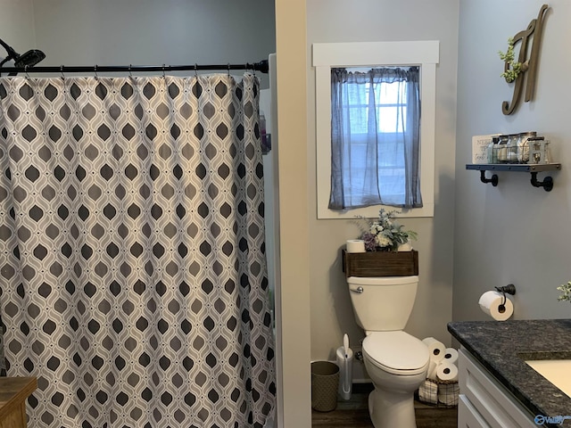 bathroom featuring vanity, toilet, and a shower with curtain