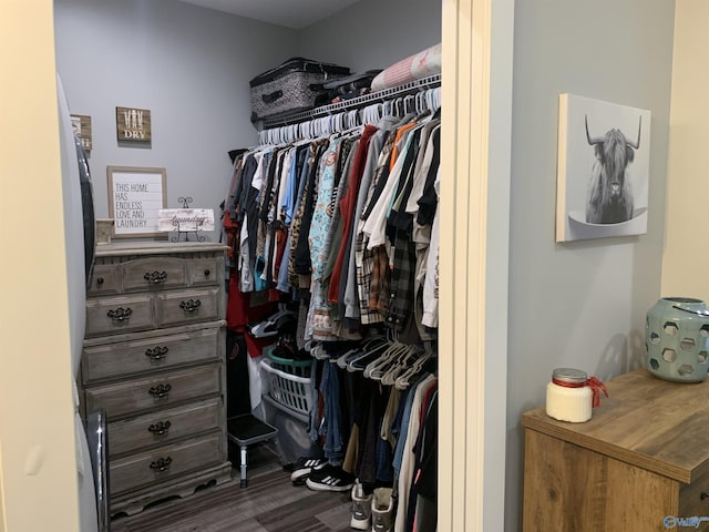 walk in closet featuring hardwood / wood-style flooring