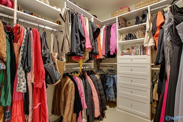 view of walk in closet