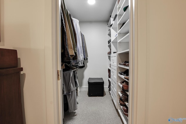 walk in closet with light colored carpet