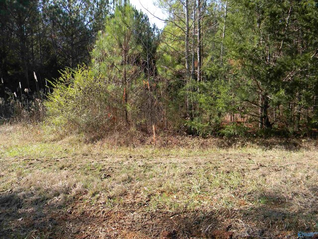 TRACKS3-4-5 County Road 143, Gaylesville AL, 35973 land for sale