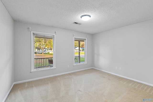 empty room featuring a textured ceiling, a wealth of natural light, and light carpet