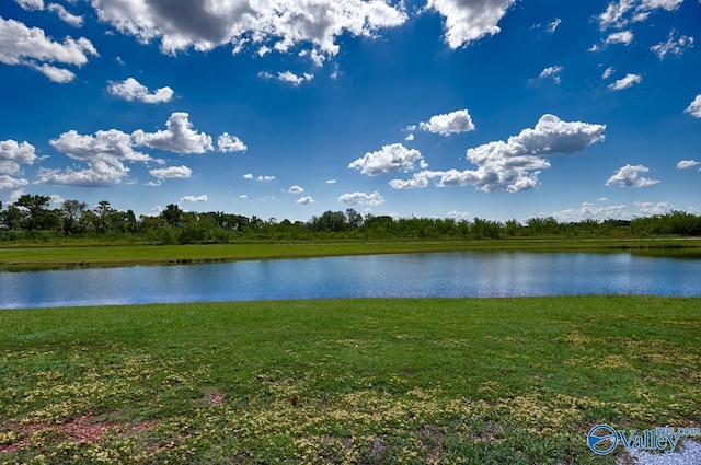 106 Lombard St, Madison, AL 35756