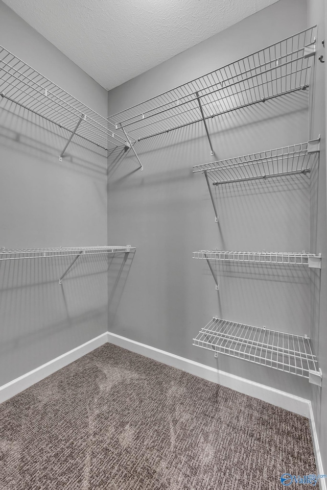 spacious closet with carpet