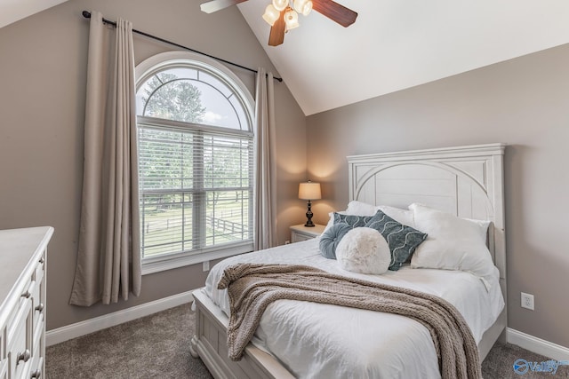14690 Birchbark St, Athens, AL 35613 - bedroom with baseboards, a ceiling fan, dark carpet, and lofted ceiling