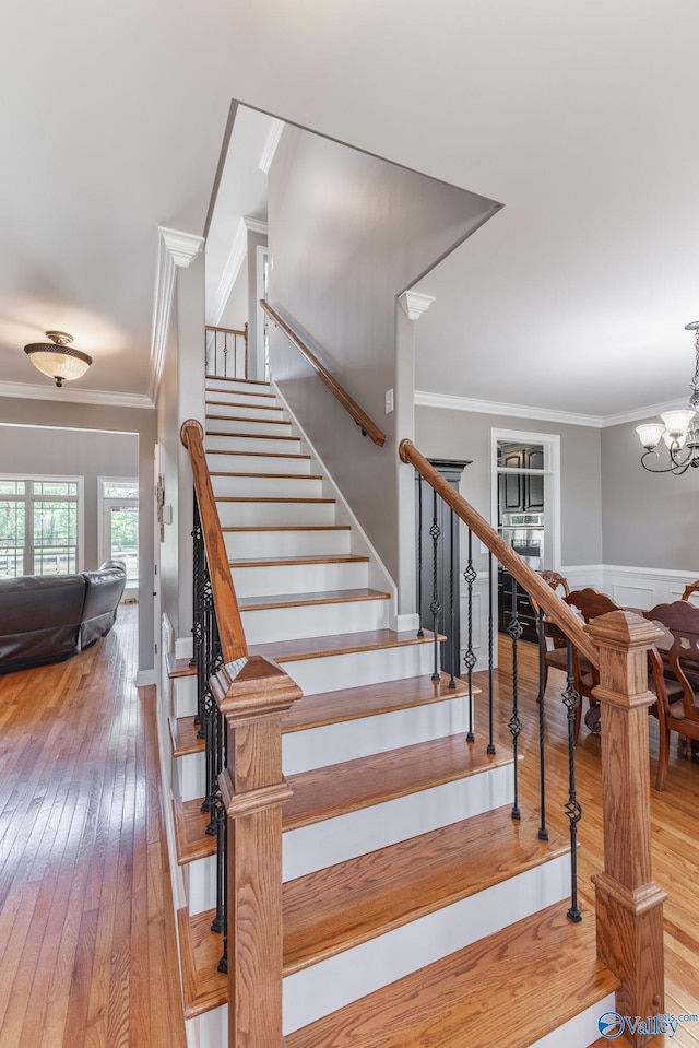 14690 Birchbark St, Athens, AL 35613 - stairs with wood-type flooring, a chandelier, ornamental molding, and a wainscoted wall