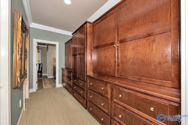 walk in closet with light colored carpet