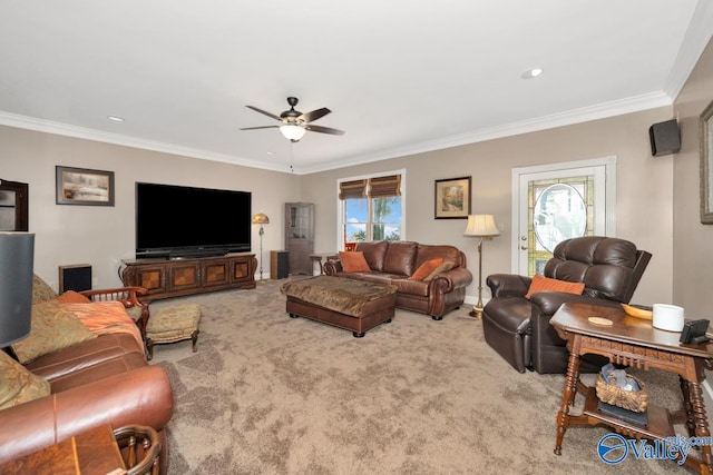 living room featuring ornamental molding, ceiling fan, and carpet floors