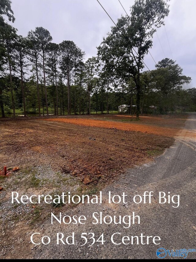 150 County Road 534, Centre, AL 35960
