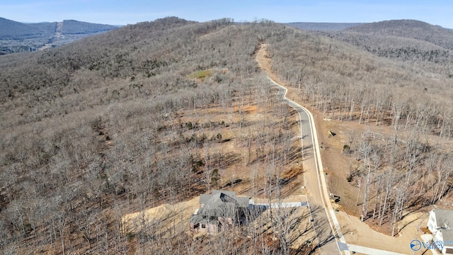 bird's eye view with a mountain view