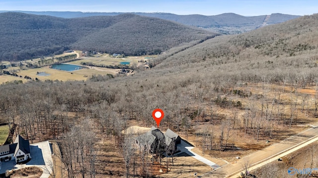 view of mountain feature with a rural view