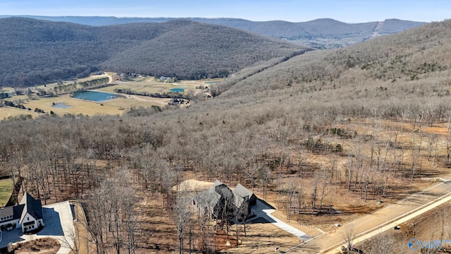 property view of mountains with a rural view