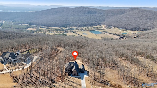 bird's eye view with a mountain view