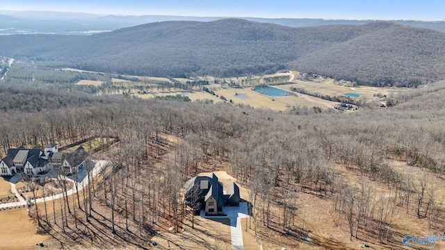 drone / aerial view with a mountain view