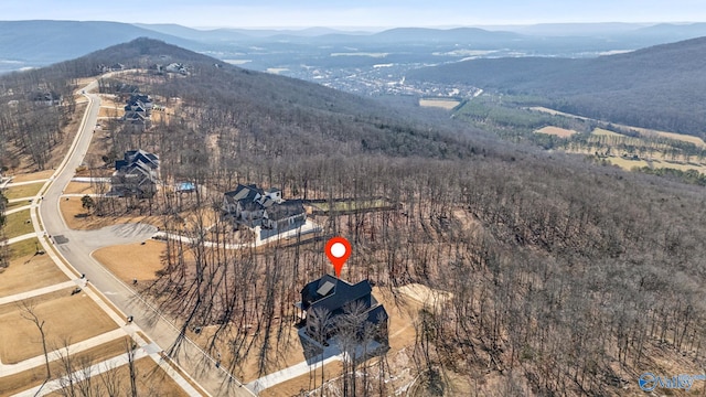 birds eye view of property featuring a mountain view