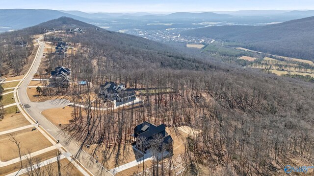 bird's eye view with a mountain view