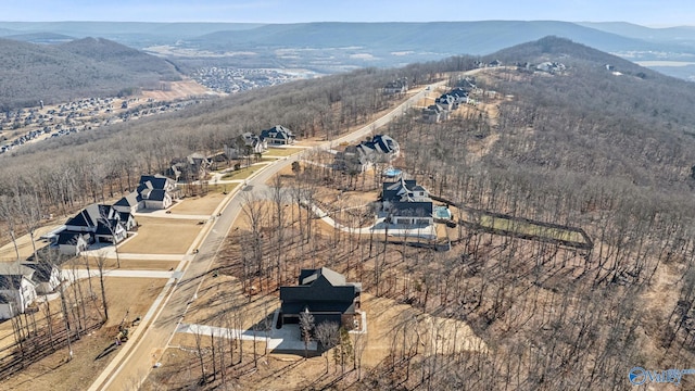 drone / aerial view featuring a mountain view