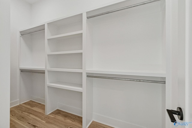 walk in closet with wood-type flooring