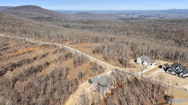 aerial view with a mountain view