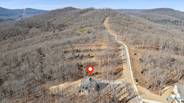 aerial view with a mountain view