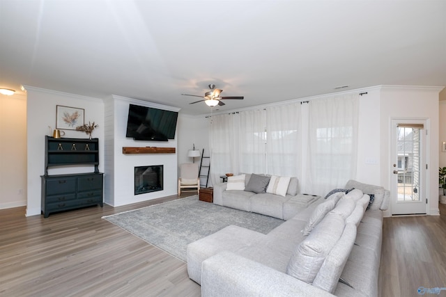 living room featuring ceiling fan, a large fireplace, hardwood / wood-style flooring, and crown molding