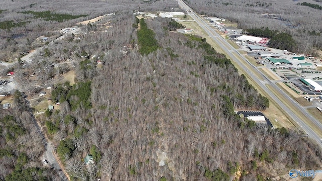 N George Adams Rd, Scottsboro, AL 35768