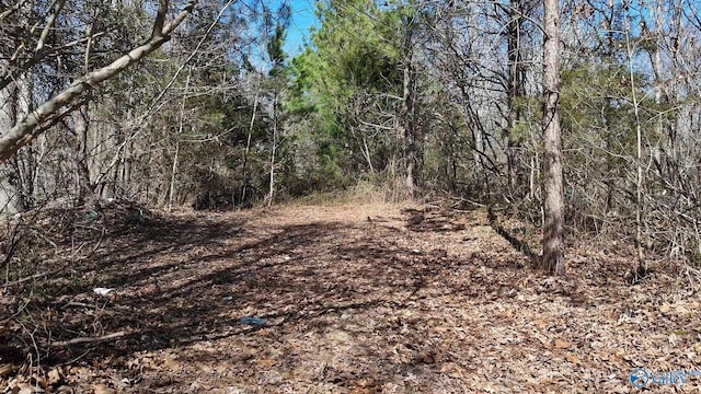 Listing photo 2 for N George Adams Rd, Scottsboro AL 35768