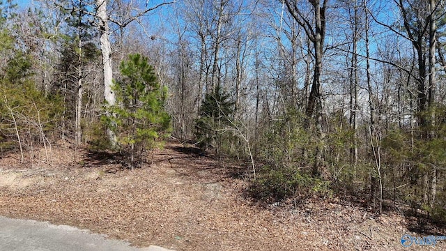 Listing photo 3 for N George Adams Rd, Scottsboro AL 35768