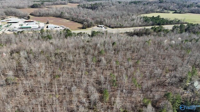 N George Adams Rd, Scottsboro, AL 35768
