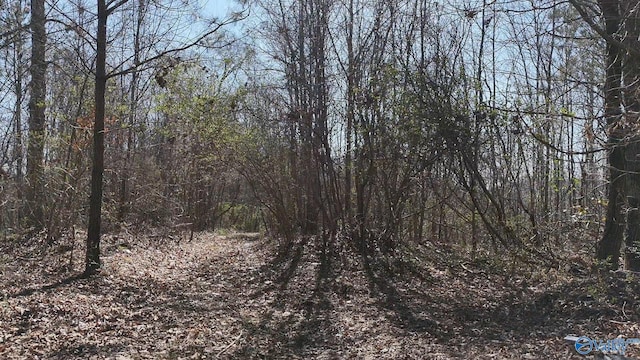 N George Adams Rd, Scottsboro, AL 35768