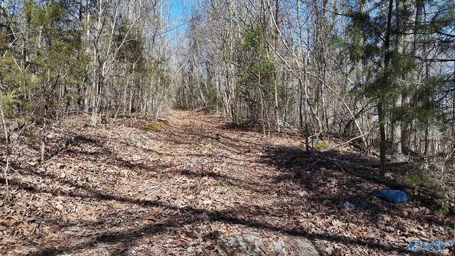 N George Adams Rd, Scottsboro, AL 35768