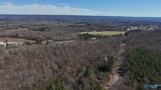 N George Adams Rd, Scottsboro, AL 35768
