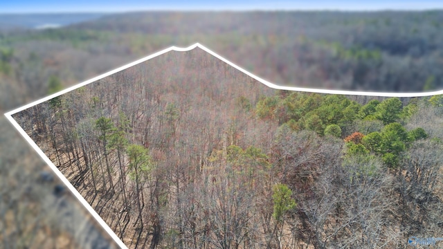 Listing photo 2 for 12 Bishop Mountain Rd, Grant AL 35950