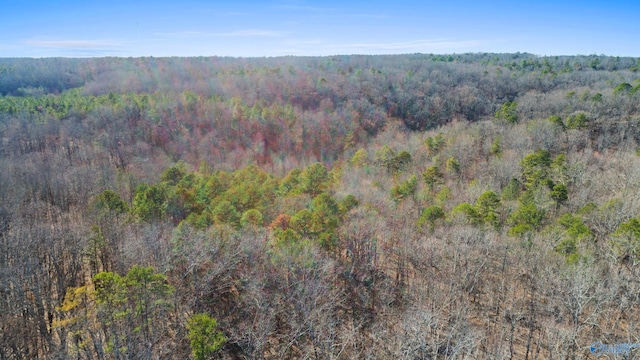 Listing photo 3 for 12 Bishop Mountain Rd, Grant AL 35950