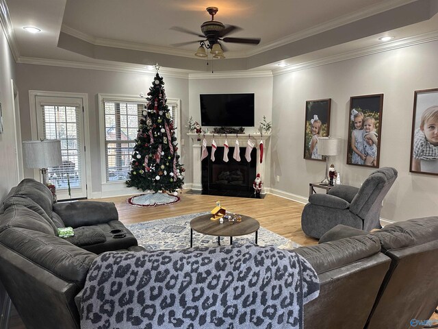 living room featuring a raised ceiling, ceiling fan, light hardwood / wood-style flooring, and ornamental molding