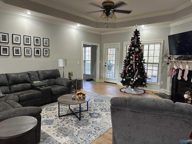 living room featuring hardwood / wood-style floors, ceiling fan, crown molding, and a tray ceiling