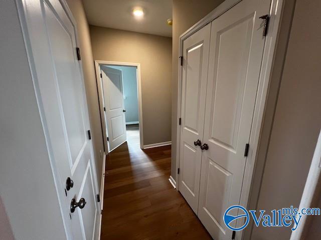 hallway featuring dark wood-type flooring