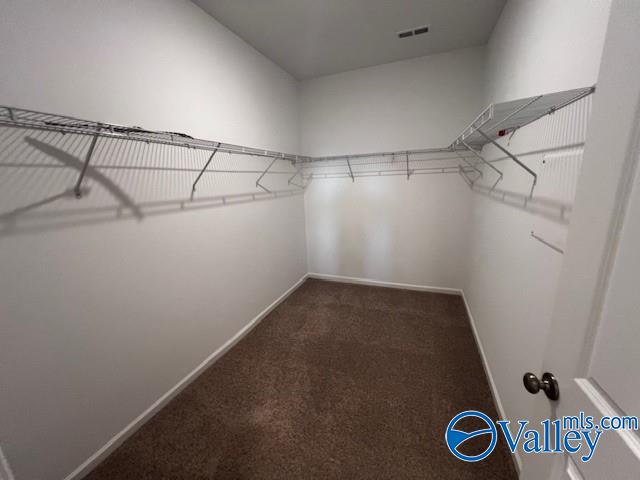 spacious closet with carpet floors