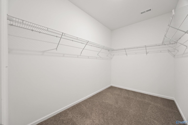 walk in closet with carpet flooring