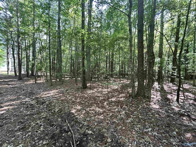 5/-ACRES County Road 44, Cedar Bluff, AL 35959