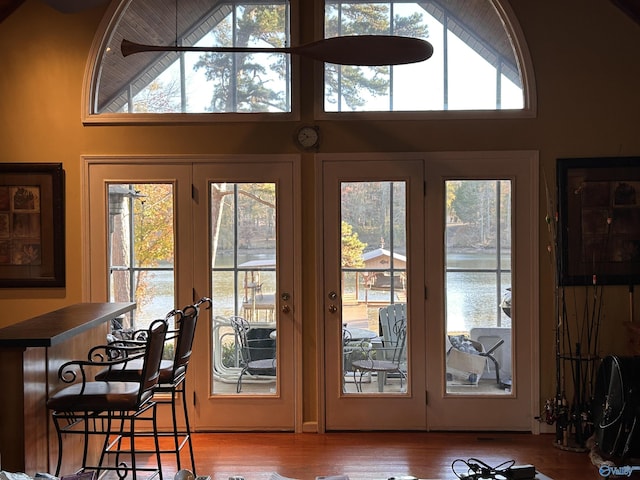 entryway with a towering ceiling and wood-type flooring