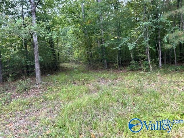 404 Runyan Rd, Gadsden AL, 35901 land for sale