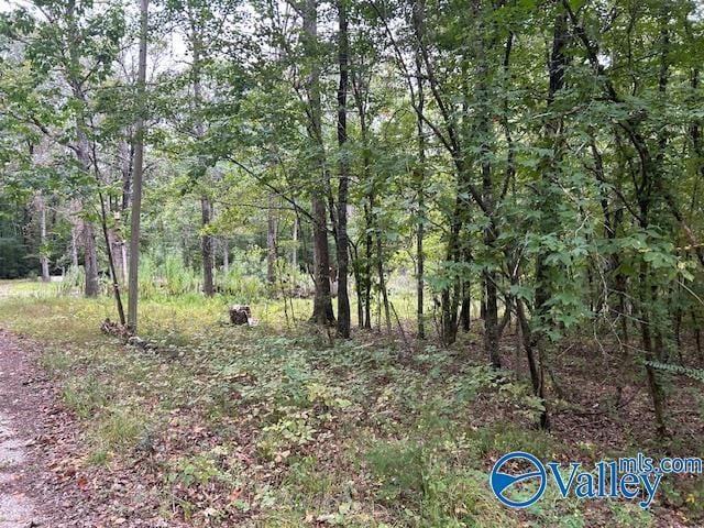 404 Runyan Rd, Gadsden, AL 35901