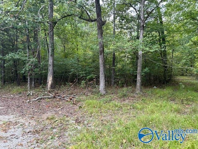 404 Runyan Rd, Gadsden, AL 35901