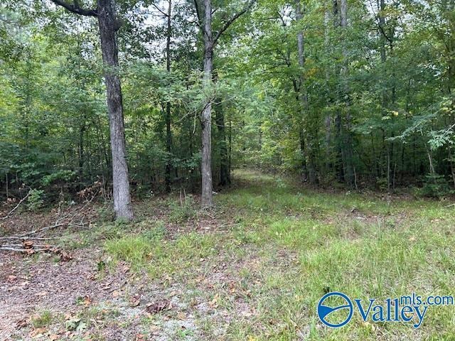 404 Runyan Rd, Gadsden, AL 35901