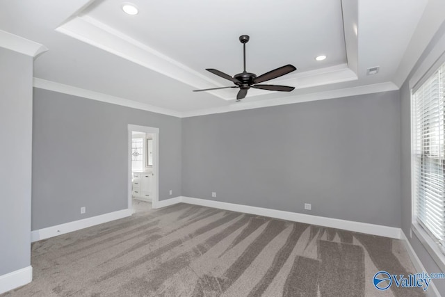 spare room featuring a raised ceiling, ornamental molding, plenty of natural light, and light colored carpet