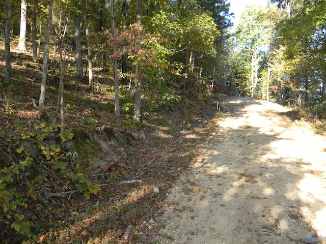 Listing photo 2 for LOT3 County Road 594, Centre AL 35983