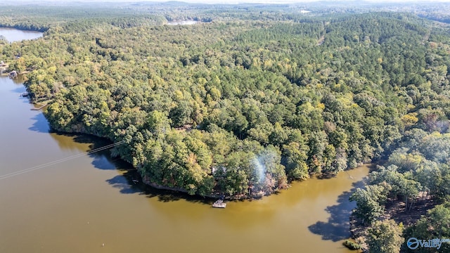 525 County Road 616, Cedar Bluff AL, 35959 land for sale